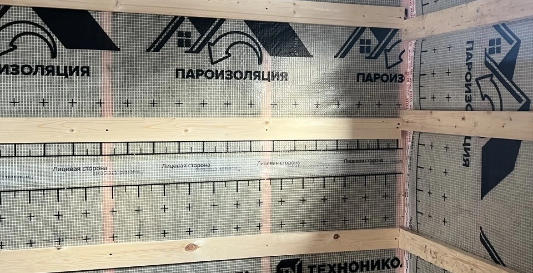 Абелия